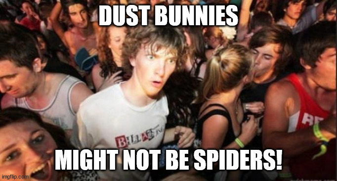 Sudden Realisation Studenr | DUST BUNNIES MIGHT NOT BE SPIDERS! | image tagged in sudden realisation studenr | made w/ Imgflip meme maker
