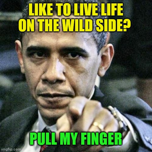 Pull my finger | LIKE TO LIVE LIFE ON THE WILD SIDE? PULL MY FINGER | image tagged in memes,pissed off obama,funny memes | made w/ Imgflip meme maker