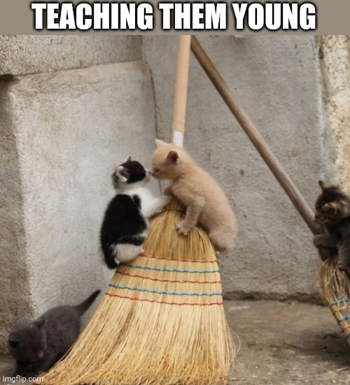 FAMILIARS JUST NEED A WITCH | TEACHING THEM YOUNG | image tagged in cats,funny cats,witch | made w/ Imgflip meme maker