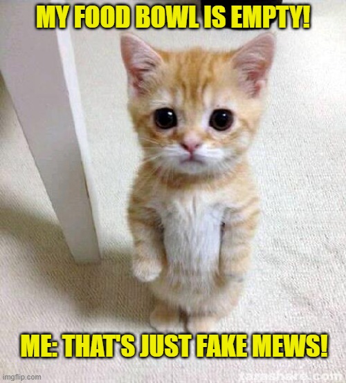 Cute Cat Meme | MY FOOD BOWL IS EMPTY! ME: THAT'S JUST FAKE MEWS! | image tagged in memes,cute cat | made w/ Imgflip meme maker