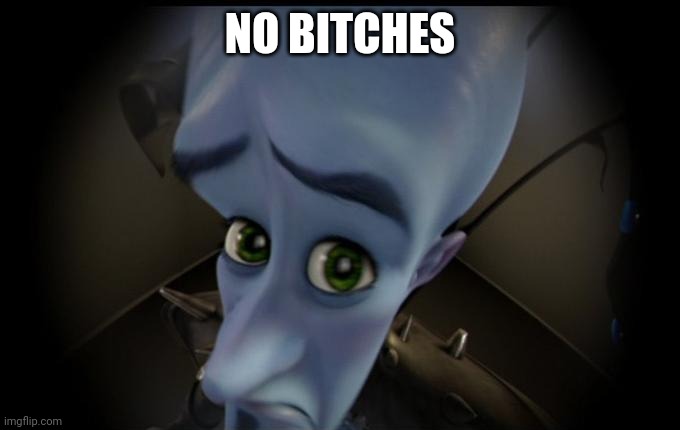 No bitches? | NO BITCHES | image tagged in no bitches | made w/ Imgflip meme maker