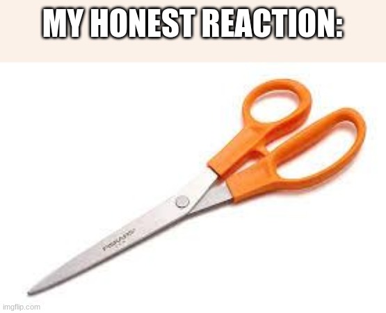 Scumbag Scissors | MY HONEST REACTION: | image tagged in scumbag scissors | made w/ Imgflip meme maker