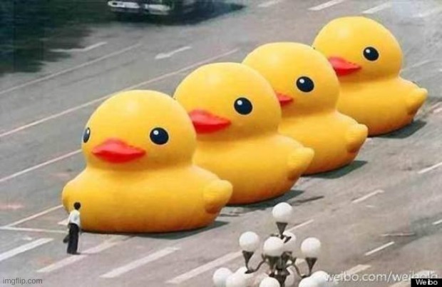 man stops rubber duckies (1989) | image tagged in tiananmen square massacre,china,communism,iceu | made w/ Imgflip meme maker