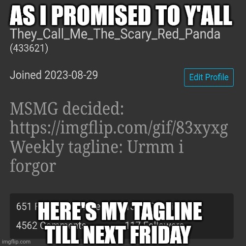 Noice | AS I PROMISED TO Y'ALL; HERE'S MY TAGLINE TILL NEXT FRIDAY | made w/ Imgflip meme maker