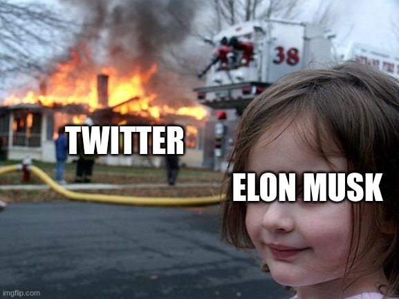 Twitter | TWITTER; ELON MUSK | image tagged in memes,disaster girl | made w/ Imgflip meme maker