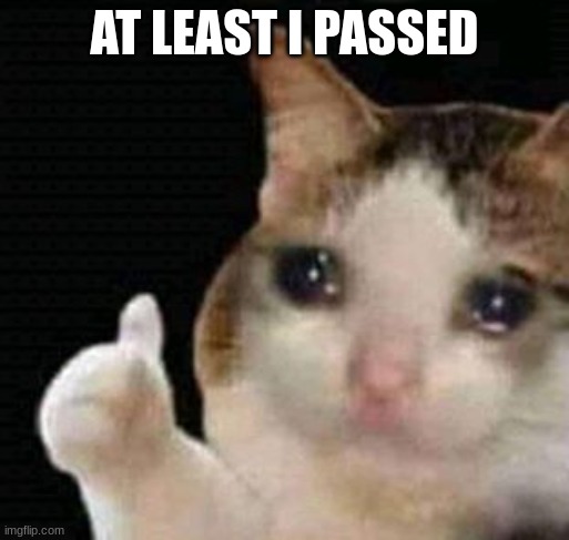 sad thumbs up cat | AT LEAST I PASSED | image tagged in sad thumbs up cat | made w/ Imgflip meme maker