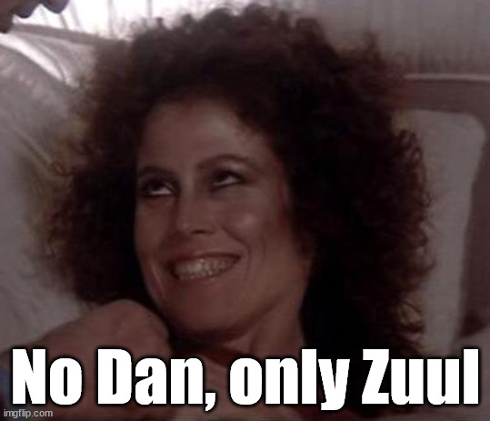 No Dana; only ZUUL | No Dan, only Zuul | image tagged in no dana only zuul | made w/ Imgflip meme maker