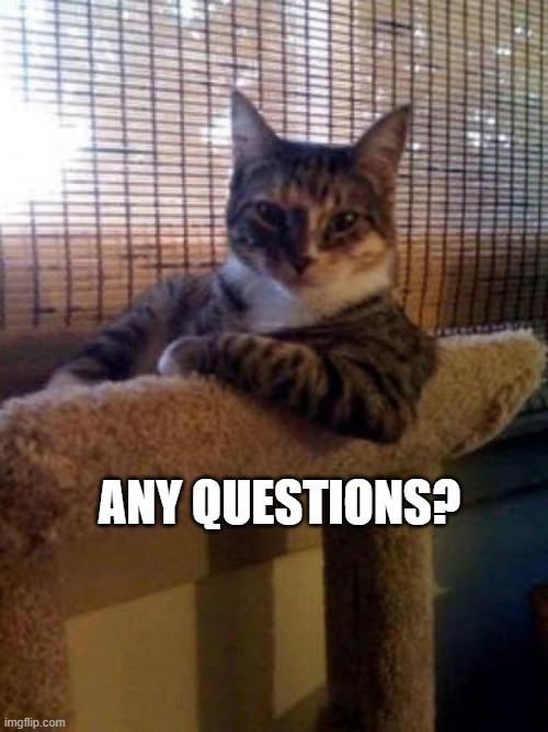 Any Questions? | ANY QUESTIONS? | image tagged in memes,the most interesting cat in the world | made w/ Imgflip meme maker