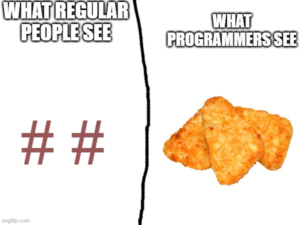 hash browns guys | WHAT REGULAR PEOPLE SEE; WHAT PROGRAMMERS SEE; # # | image tagged in hash browns,hashtags,coding,funny | made w/ Imgflip meme maker