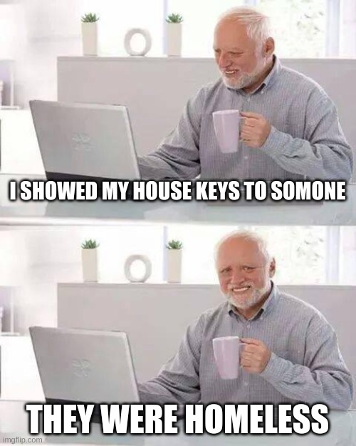 at least give the keys to him! | I SHOWED MY HOUSE KEYS TO SOMONE; THEY WERE HOMELESS | image tagged in memes,hide the pain harold | made w/ Imgflip meme maker