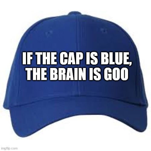 Brain fried... | IF THE CAP IS BLUE,
THE BRAIN IS GOO | image tagged in democrat,progressive,liberal,facebook,memes,youtube | made w/ Imgflip meme maker