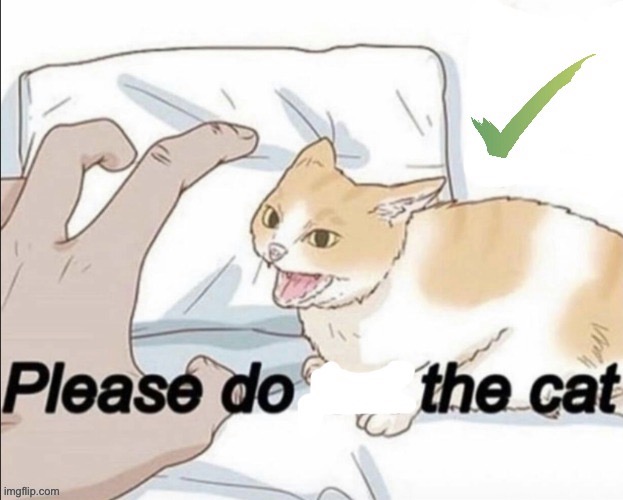 Please do the cat | image tagged in please do the cat | made w/ Imgflip meme maker