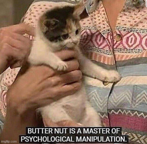 Butter Nut is a Master of Psychological Manipulation | image tagged in butter nut is a master of psychological manipulation | made w/ Imgflip meme maker