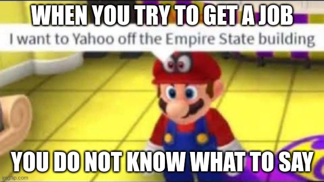 Mario Yahoo | WHEN YOU TRY TO GET A JOB; YOU DO NOT KNOW WHAT TO SAY | image tagged in mario yahoo | made w/ Imgflip meme maker