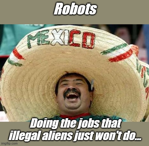Mexico | Robots Doing the jobs that illegal aliens just won't do... | image tagged in mexico | made w/ Imgflip meme maker