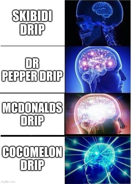 Expanding Brain | SKIBIDI DRIP; DR PEPPER DRIP; MCDONALDS DRIP; COCOMELON DRIP | image tagged in memes,expanding brain | made w/ Imgflip meme maker