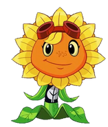 Solar Flare Meme Template