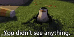 You didnt see anything - Imgflip