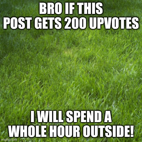 grass | BRO IF THIS POST GETS 200 UPVOTES; I WILL SPEND A WHOLE HOUR OUTSIDE! | image tagged in grass | made w/ Imgflip meme maker