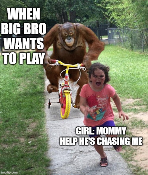 Come here BBG | WHEN BIG BRO WANTS TO PLAY; GIRL: MOMMY HELP HE'S CHASING ME | image tagged in orangutan chasing girl on a tricycle | made w/ Imgflip meme maker