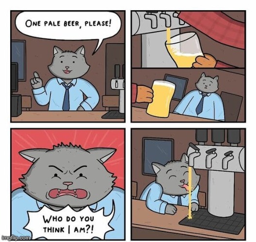 Drunken cat, smh | image tagged in comics,comics/cartoons,beer,drink,cat,alcohol | made w/ Imgflip meme maker