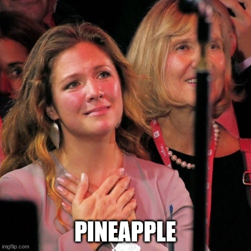 Sophie adores you | PINEAPPLE | image tagged in sophie adores you | made w/ Imgflip meme maker