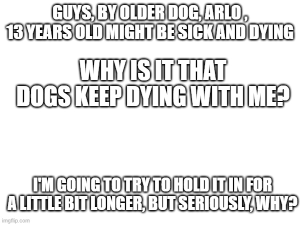 Is another dog dying at my home? | GUYS, BY OLDER DOG, ARLO , 13 YEARS OLD MIGHT BE SICK AND DYING; WHY IS IT THAT DOGS KEEP DYING WITH ME? I'M GOING TO TRY TO HOLD IT IN FOR A LITTLE BIT LONGER, BUT SERIOUSLY, WHY? | image tagged in dead dog,why | made w/ Imgflip meme maker