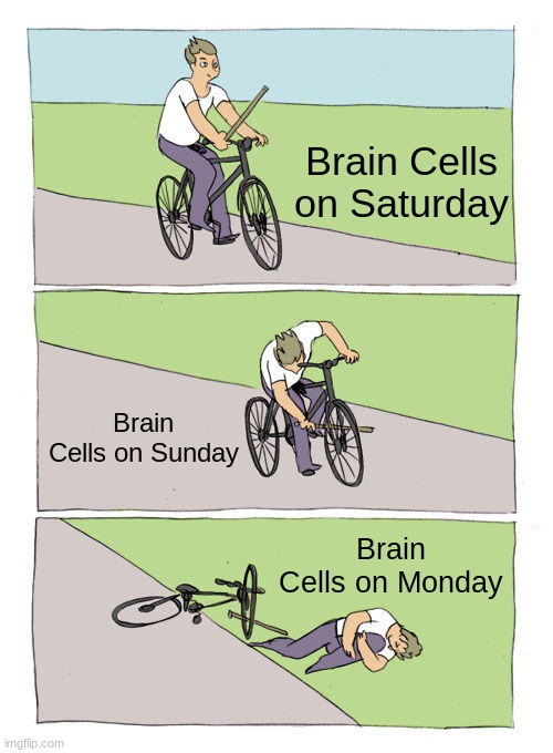 Bike Fall | Brain Cells on Saturday; Brain Cells on Sunday; Brain Cells on Monday | image tagged in memes,bike fall | made w/ Imgflip meme maker