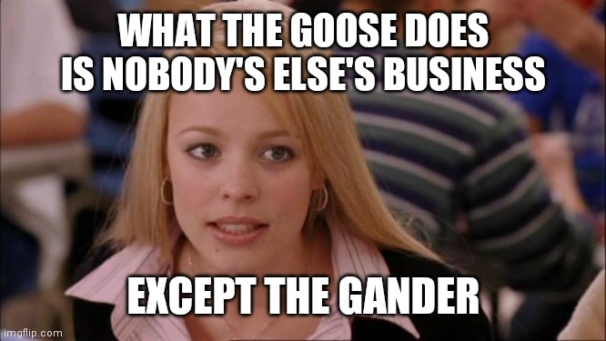 Goose and Gander | WHAT THE GOOSE DOES IS NOBODY'S ELSE'S BUSINESS; EXCEPT THE GANDER | image tagged in memes,its not going to happen,funny memes | made w/ Imgflip meme maker