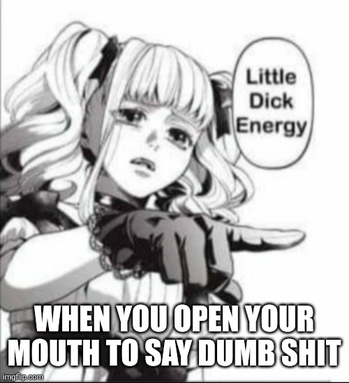 Little Dick Energy | WHEN YOU OPEN YOUR MOUTH TO SAY DUMB SHIT | image tagged in little dick energy | made w/ Imgflip meme maker