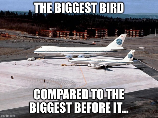 Boeing 707 and Boeing 747 | THE BIGGEST BIRD; COMPARED TO THE BIGGEST BEFORE IT... | image tagged in boeing 707 and boeing 747 | made w/ Imgflip meme maker