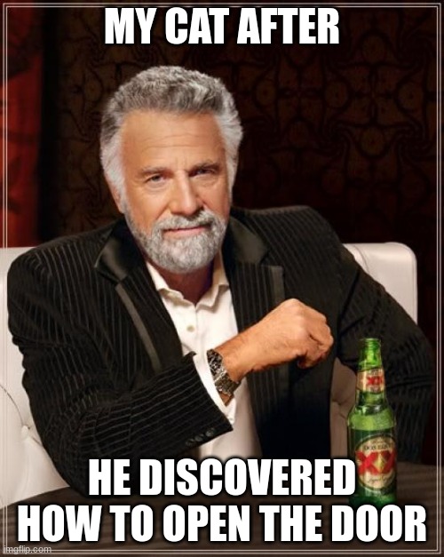 The Most Interesting Man In The World | MY CAT AFTER; HE DISCOVERED HOW TO OPEN THE DOOR | image tagged in memes,the most interesting man in the world | made w/ Imgflip meme maker