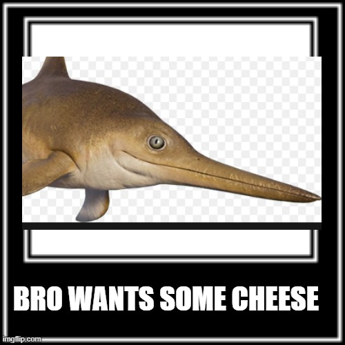 Bro wants some cheeeseeee | BRO WANTS SOME CHEESE | image tagged in what how | made w/ Imgflip meme maker