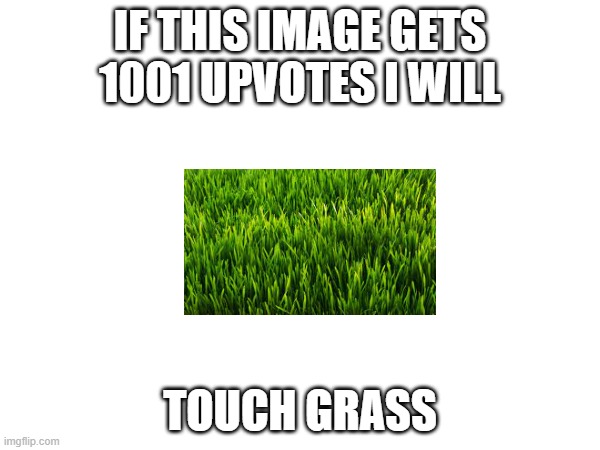 IF THIS IMAGE GETS 1001 UPVOTES I WILL; TOUCH GRASS | image tagged in grass,more grass | made w/ Imgflip meme maker