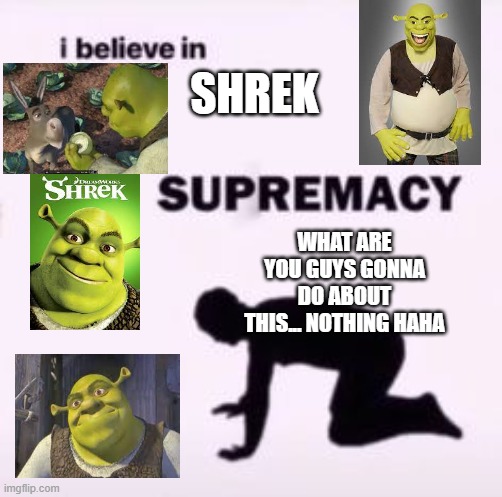 I believe in supremacy | SHREK; WHAT ARE YOU GUYS GONNA DO ABOUT THIS... NOTHING HAHA | image tagged in i believe in supremacy,memes,funny,funny memes | made w/ Imgflip meme maker