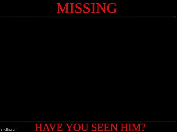 missing poster (analog horror) Blank Meme Template