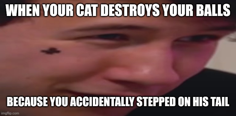 Oof | WHEN YOUR CAT DESTROYS YOUR BALLS; BECAUSE YOU ACCIDENTALLY STEPPED ON HIS TAIL | image tagged in markiplier shocked face | made w/ Imgflip meme maker