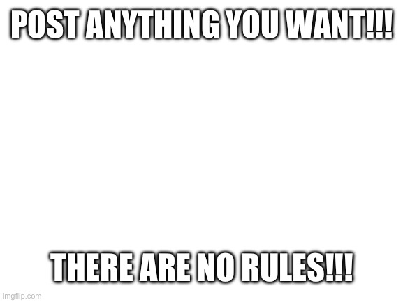 Rules | POST ANYTHING YOU WANT!!! THERE ARE NO RULES!!! | image tagged in blank white template | made w/ Imgflip meme maker