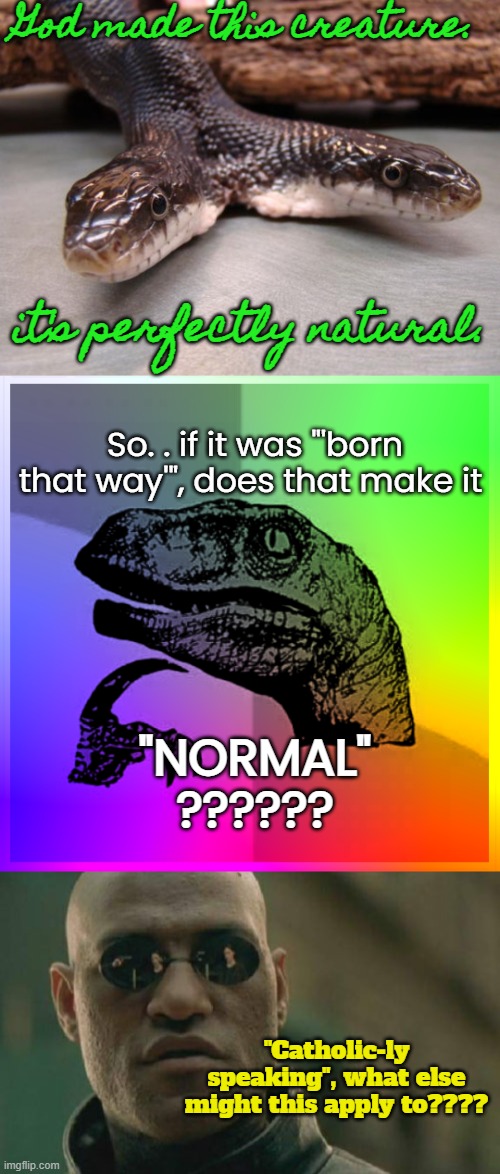 Other Things That Make You Go Hmmm | God made this creature. it's perfectly natural. So. . if it was "'born that way'", does that make it; "NORMAL"
?????? "Catholic-ly speaking", what else might this apply to???? | image tagged in two headed snake,color philosiraptor,memes,matrix morpheus | made w/ Imgflip meme maker
