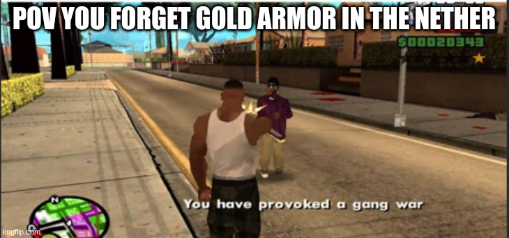 oh dear | POV YOU FORGET GOLD ARMOR IN THE NETHER | image tagged in youhave provoked a gang war | made w/ Imgflip meme maker