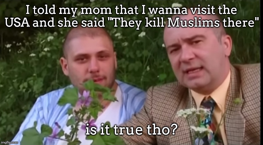 Green screen bois | I told my mom that I wanna visit the USA and she said "They kill Muslims there"; is it true tho? | image tagged in green screen bois | made w/ Imgflip meme maker