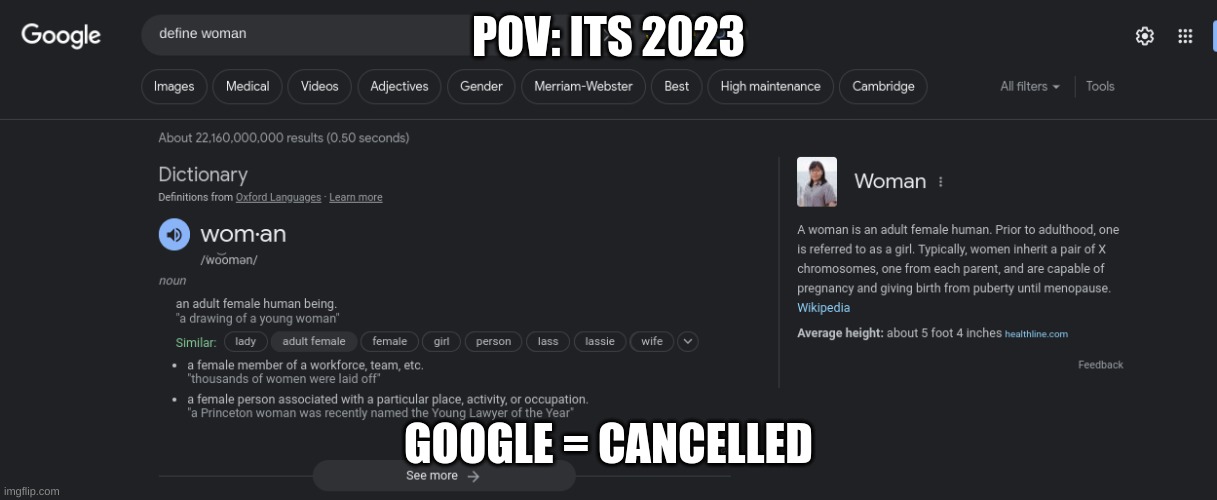 I though u were better than this google... | POV: ITS 2023; GOOGLE = CANCELLED | image tagged in sarcasm,2023,funny,cancelled,lmao | made w/ Imgflip meme maker
