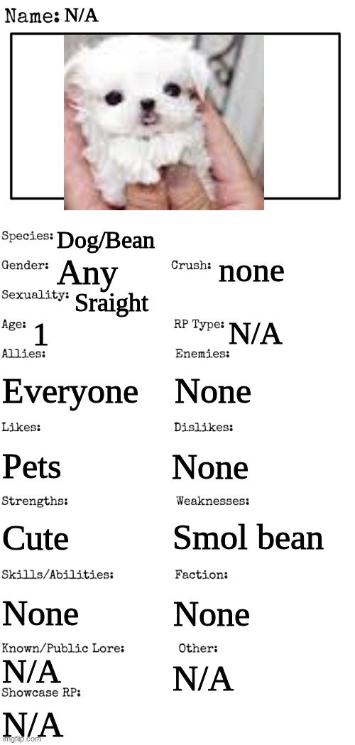 New OC showcase for RP stream | N/A; Dog/Bean; none; Any; Sraight; 1; N/A; Everyone; None; Pets; None; Smol bean; Cute; None; None; N/A; N/A; N/A | image tagged in new oc showcase for rp stream | made w/ Imgflip meme maker