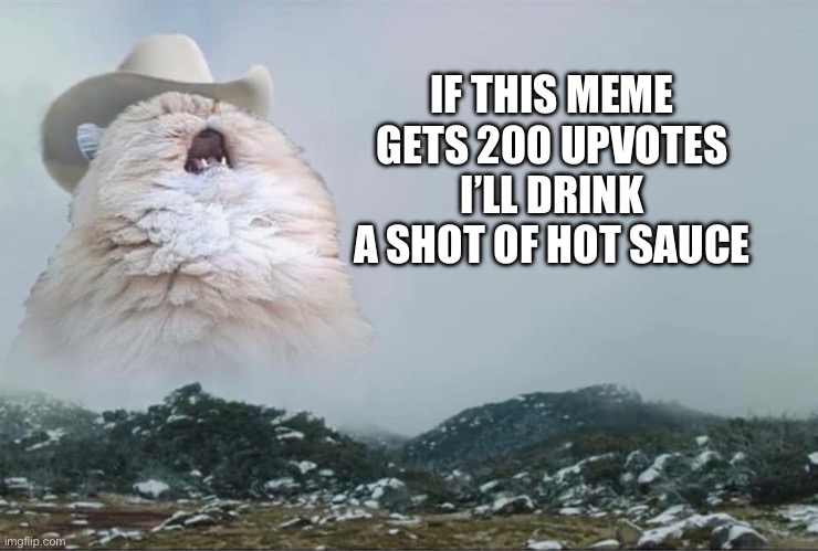 Screaming Cowboy Cat | IF THIS MEME GETS 200 UPVOTES I’LL DRINK A SHOT OF HOT SAUCE | image tagged in screaming cowboy cat | made w/ Imgflip meme maker