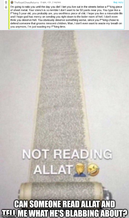 CAN SOMEONE READ ALLAT AND TELL ME WHAT HE'S BLABBING ABOUT? | image tagged in not reading allat | made w/ Imgflip meme maker
