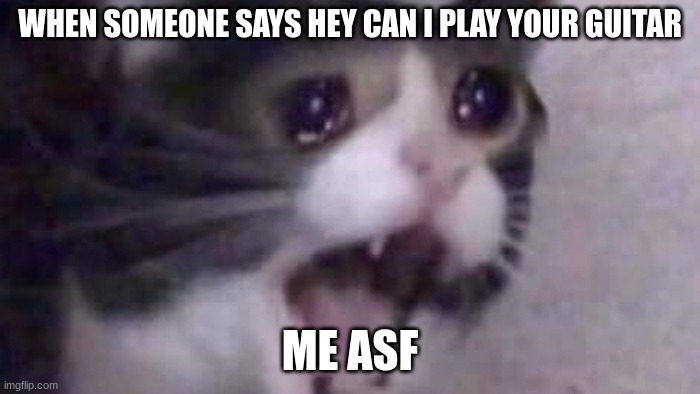 screaming cat | WHEN SOMEONE SAYS HEY CAN I PLAY YOUR GUITAR; ME ASF | image tagged in screaming cat | made w/ Imgflip meme maker