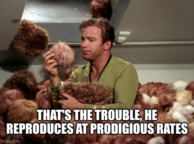 Tribbles | THAT'S THE TROUBLE, HE REPRODUCES AT PRODIGIOUS RATES | image tagged in tribbles | made w/ Imgflip meme maker
