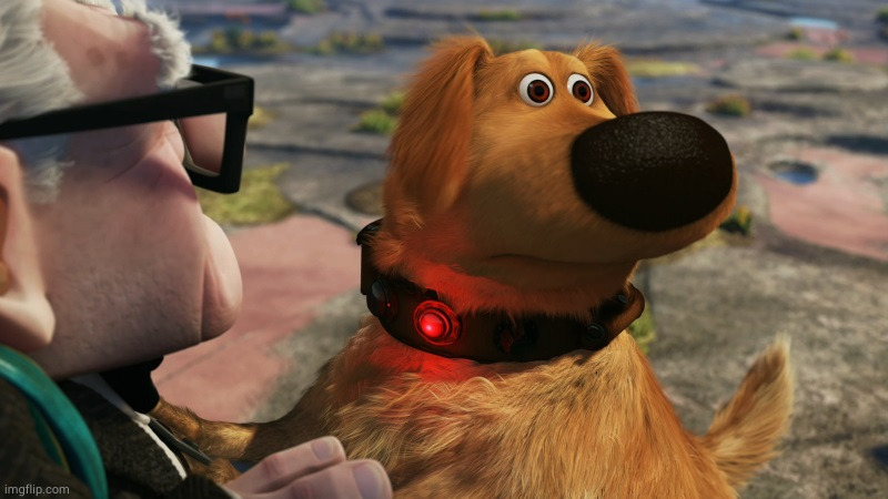 up! squirrel dog | image tagged in up squirrel dog | made w/ Imgflip meme maker