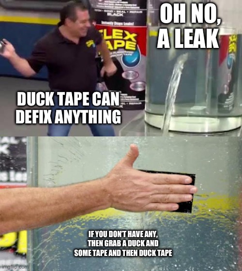 Duck tape definitely works | OH NO, A LEAK; DUCK TAPE CAN DEFINITELY FIX ANYTHING; IF YOU DON’T HAVE ANY, THEN GRAB A DUCK AND SOME TAPE AND THEN DUCK TAPE | image tagged in flex tape | made w/ Imgflip meme maker