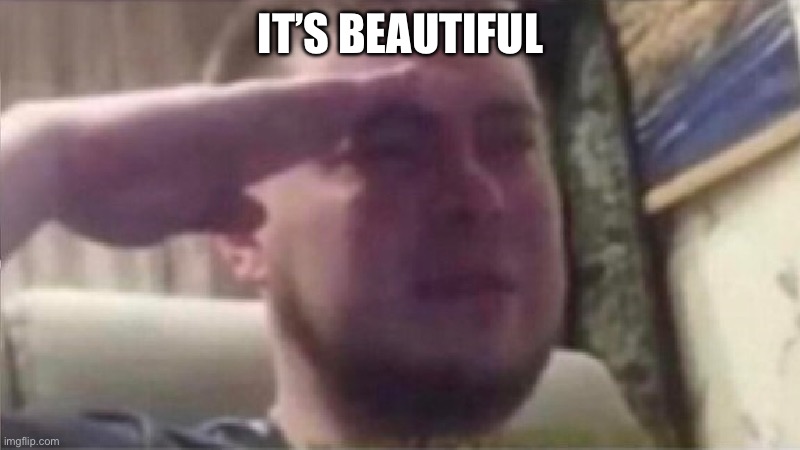 Crying Salute | IT’S BEAUTIFUL | image tagged in crying salute | made w/ Imgflip meme maker